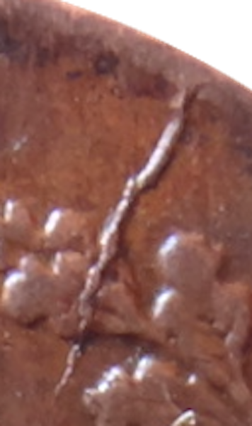 sena coins